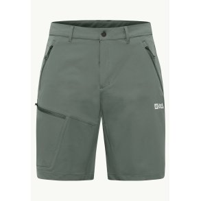 Jack Wolfskin Pico Trail Herre shorts slate green