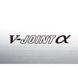 Daiwa Luvias 2026 model