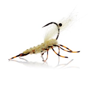 A.Jensen Honey Shrimp Chartreuse legs