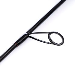 Pandion Diablo Coast