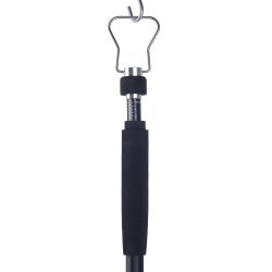 Pandion Guide net