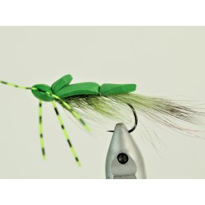 SFG Foam skater light green