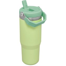 Stanley Iceflow Flip Straw Tumbler