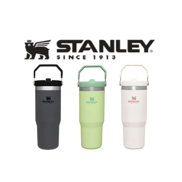 Stanley Iceflow Flip Straw Tumbler